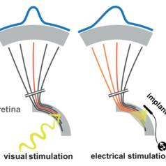 Items about: Sensors by Elektor